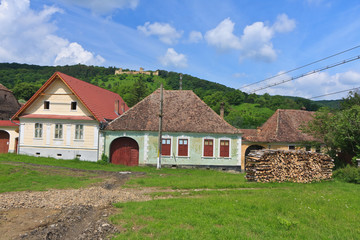Obraz premium Houses of a typical Romanian village