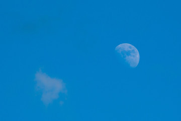 Mond