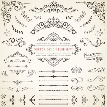 Ornate vintage design elements with calligraphy swirls, swashes, ornate motifs and scrolls. Vector illustration.