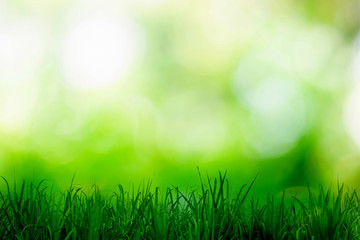 Green bokeh blurred shining light abstract background.