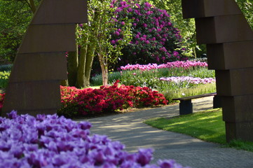 spring flowers in the garden