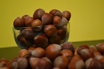 hazelnut is a very useful food