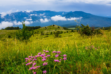beautiful green mountain plateau in a clouds