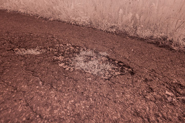 Asphalt in Infrarot (unbearbeitet)