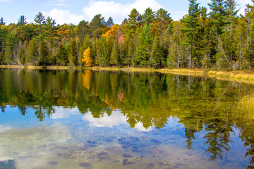 Forest Reflections In Pond. Beautiful lush forest foliage reflected in the water of a remote northern Michigan lake. 