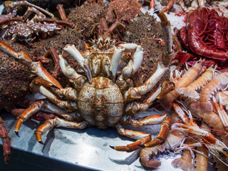 Fresh crab on the market for sell