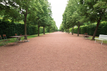 Obraz premium Parkowa ulica obok Lichtenwalde