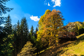 fall in the Julian Alps
