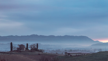 Cold misty morning in the vineyards of Italy
