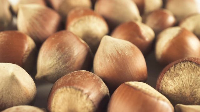 Hazelnuts slowly rotate. Close-up detailed video shooting plan