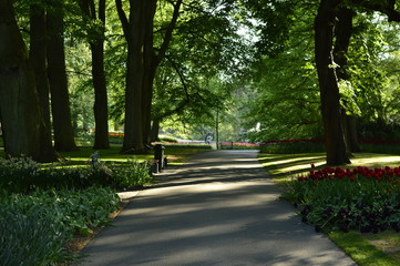 alley in the park