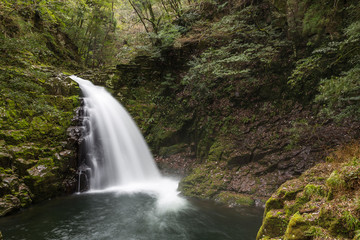 Fototapeta na wymiar Akame 48 Falls Waterfall, Japan