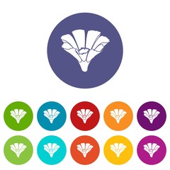 Beauty flower icons color set vector for any web design on white background