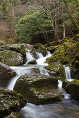 Cascades in Akame 48 Falls, Japan