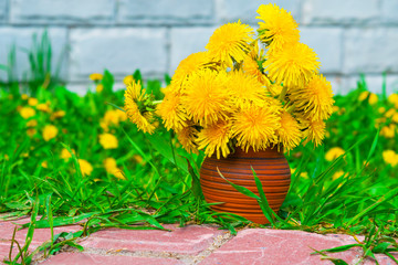 The first spring dandelions flowers in an earthenware vase on a background of green grass and brick wall background natural
