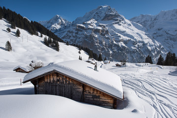 Winter landscape on a beautiful sunny day in the Swiss Alps, between Allmendhubel and Murren.