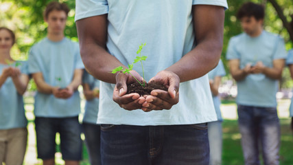 African-american man hands holding plant in soil