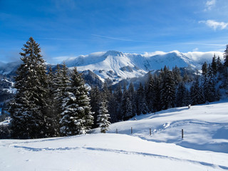 view on Kaiseregg peak covered in snow, Swiss Alps, winter hike from Schwarzsee to Fuchses Schwyberg, Fribourg (Freiburg) canton, Switzerland, Europe
