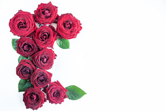 Flat Lay Background, flower pattern, Valentine's Day, the theme of lovers. Red roses on a white background, isolated. Space for texr