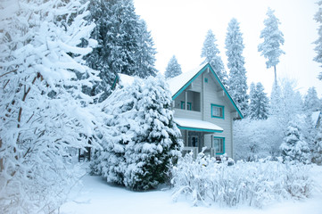 Beautiful winter forest and snow-covered house. Firs and pines in the snow, landscape