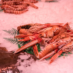 Sea food market- Barcelona Spain