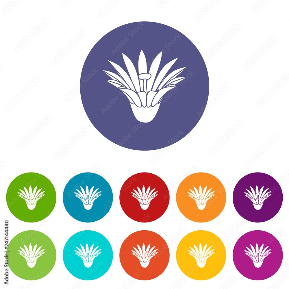 Poster garden flower icons color set vector for any web design on white background