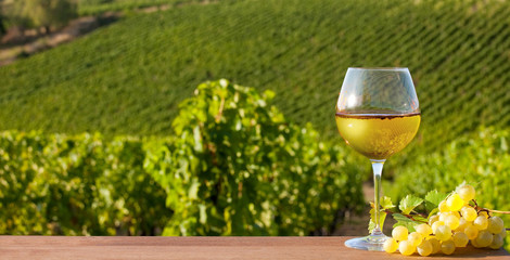 Verre de vin blanc en Anjou