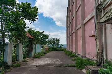 Road crossing in between two building of a  colony at indian society looking awesome with gardening &  blue sky. 