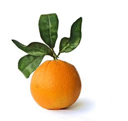 orange isloated on white background