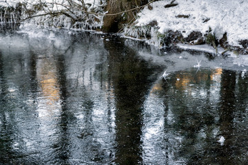 Frozen lake in forest