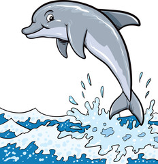 The dolphin who is jumping out of sea water