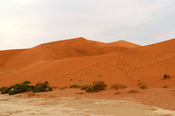 Big Daddy sand dune Sossusvlei - Namibia Africa