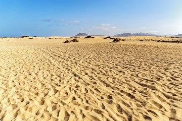 Corralejo Dunes in Fuerteventura, Canary Islands