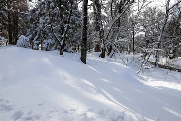 冬の大山