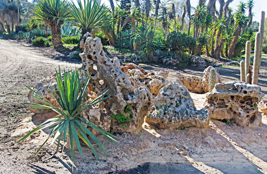 Yarkon Park In Tel Aviv