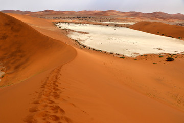 Big Daddy sand dune Sossusvlei - Namibia Africa