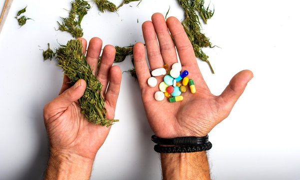 Person holding marijuana and medical pills