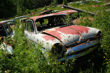 The abandoned car cemetery hidden deep in the swedish woods. Nature is slowly taking control. 