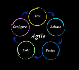 Components of agile process