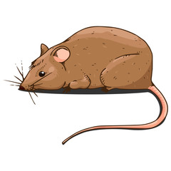 Mouse hand drawn. Vector of cartoon mouse. Funny rat.