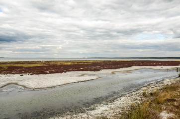 Landscape of dead salt lake. Altai, Russia