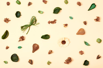 Leaves composition. Nature concept background. Flat lay