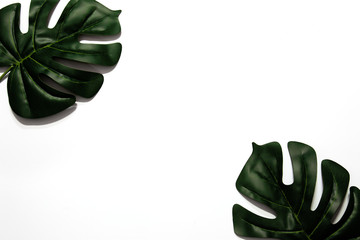 Flat lay of green tropical leaves on white background with copy space. Vacation holiday travel in summer season concept. Minimal style.