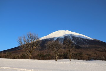 大山の雪景色