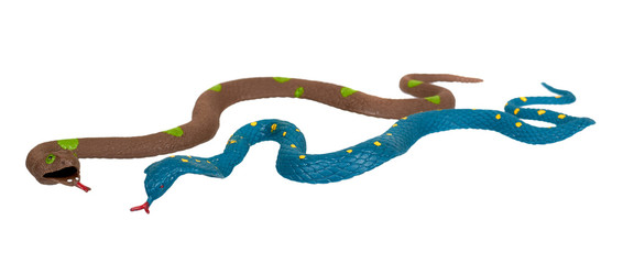 Fake snake toy, rubber animal for game.