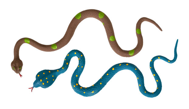 Fake snake toy, rubber animal for game.