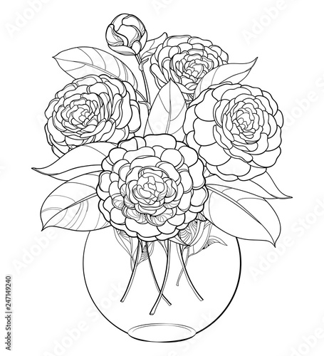 Download "Vector bouquet with outline Camellia flower bunch, bud and leaf in round vase in black isolated ...