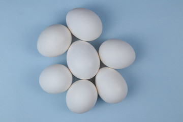 White eggs closeup view isolated on sky blue background