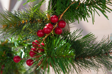 decorative green pine branches and red berries