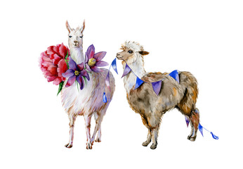 Funny watercolor of brown alpaca with blue small flags decoration and cute cartoon llama with purple pasque-flower and pink peony illustration. Use for baby nursery room decor, children's clothing.